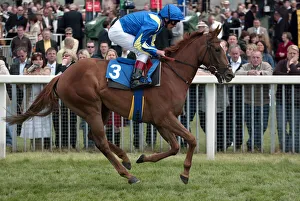 Dettori Prints: Peace And Love