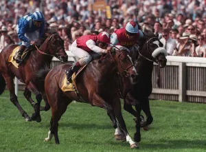 2000 Prints: Pennekamp Wins The 2000