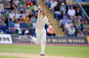 Wicket Prints: Peter Siddle Celebrates Matt Prior Wicket