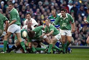 Peter Prints: Peter Stringer