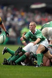 Peter Stringer