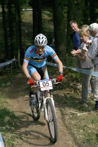 Mountain Prints: Pieter Geluykens