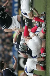 Pile Of Players