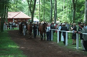 Pre-Parade Ring