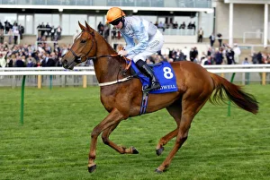 Star Prints: Precocious Star