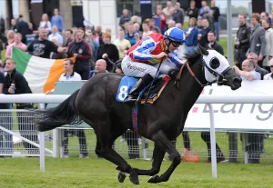 Primo Lady Ridden By David Probert
