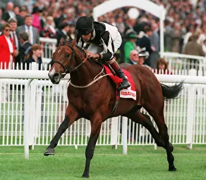 Stks Prints: Prince Aslia Wins Vodata Stks