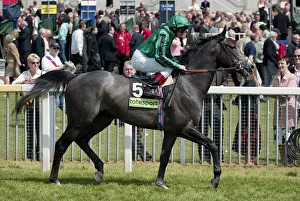 Dettori Prints: Proclamation