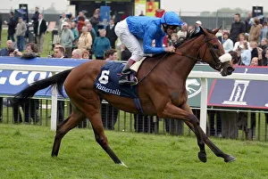 Dettori Prints: Punctilious