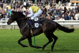 Newmarket Prints: One Putra