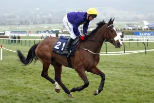 Carberry Prints: Queen Astrid