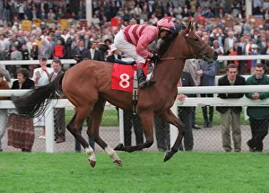 Darley Prints: Quintellina