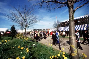 Racegoers Prints: Racegoers Enter Cheltenham