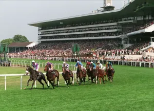 Stand Prints: Racing At Royal Ascot