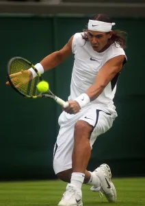 Rafael Prints: Rafael Nadel