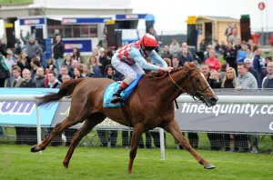 Mclaughlin Prints: Red Cadeaux