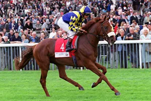Dettori Prints: Reduit