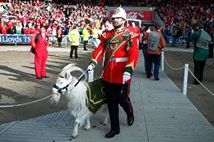 Regiment Mascot Leads Wales
