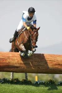 Remo Tellini