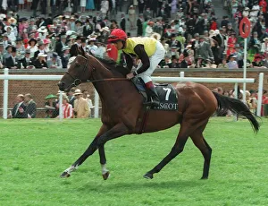 Eddery Prints: Restructure