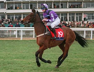 Racehorse Prints: The Reverend Bert