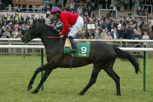 Kinane Prints: Rob Roy