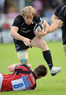 Falcons Prints: Rob Vickerman
