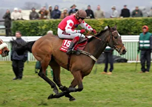 Robert Thornton & My Way De Solzen