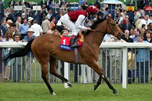 Dettori Prints: Romantic Liason