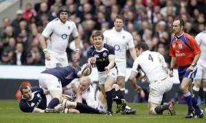 Scrum Prints: Rory Lawson At Scrum Half