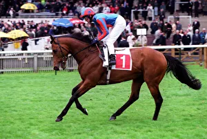 Kinane Prints: Rossini