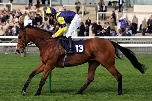 Newmarket Prints: Royal Millennium