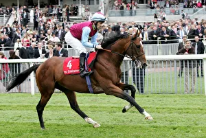 Murtagh Prints: Royal And Regal
