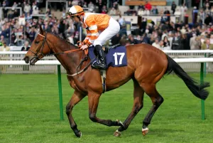 Newmarket Prints: Rubenstar