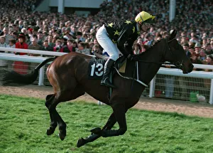 Racehorse Prints: Rushing Wild