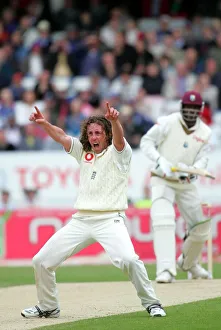 Wicket Prints: Ryan Sidebottom Celebrates Chris Gayle Wicket
