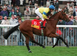 Eddery Prints: Salmon Ladder