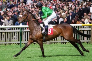 Newmarket Prints: Saltwood