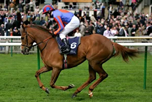 Newmarket Prints: Salut D Amour