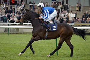 Durcan Prints: Salute Him