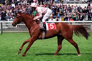 Ryan Prints: Sandmason
