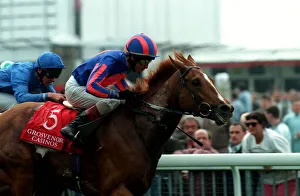 1998 Prints: Saratoga Springs, Wins The York