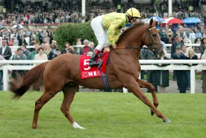 Dettori Prints: Savannah Bay