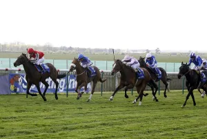 Scarlet Runner Ridden By Kerrin Mcevoy Ahead Of Blue Rocket Scarlet Runner Ridden By Kerrin Mcevoy Ahead Of Blue Rocket