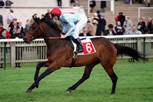 Newmarket Prints: Sixty Seconds