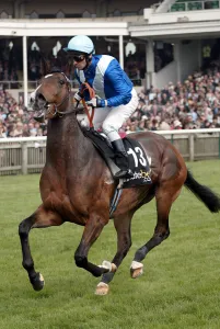 Guineas Prints: Secret Charm