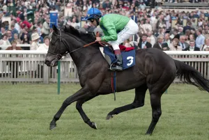 Guineas Prints: Seel Of Approval