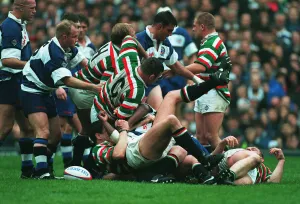 Bath Prints: Has Anyone Seen The Ball ?