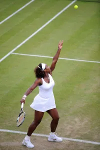 Serena Williams Prints: Serena Williams