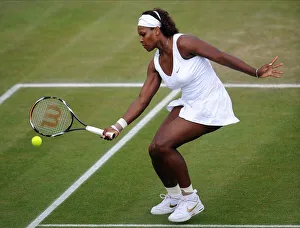 Serena Williams Prints: Serena Williams